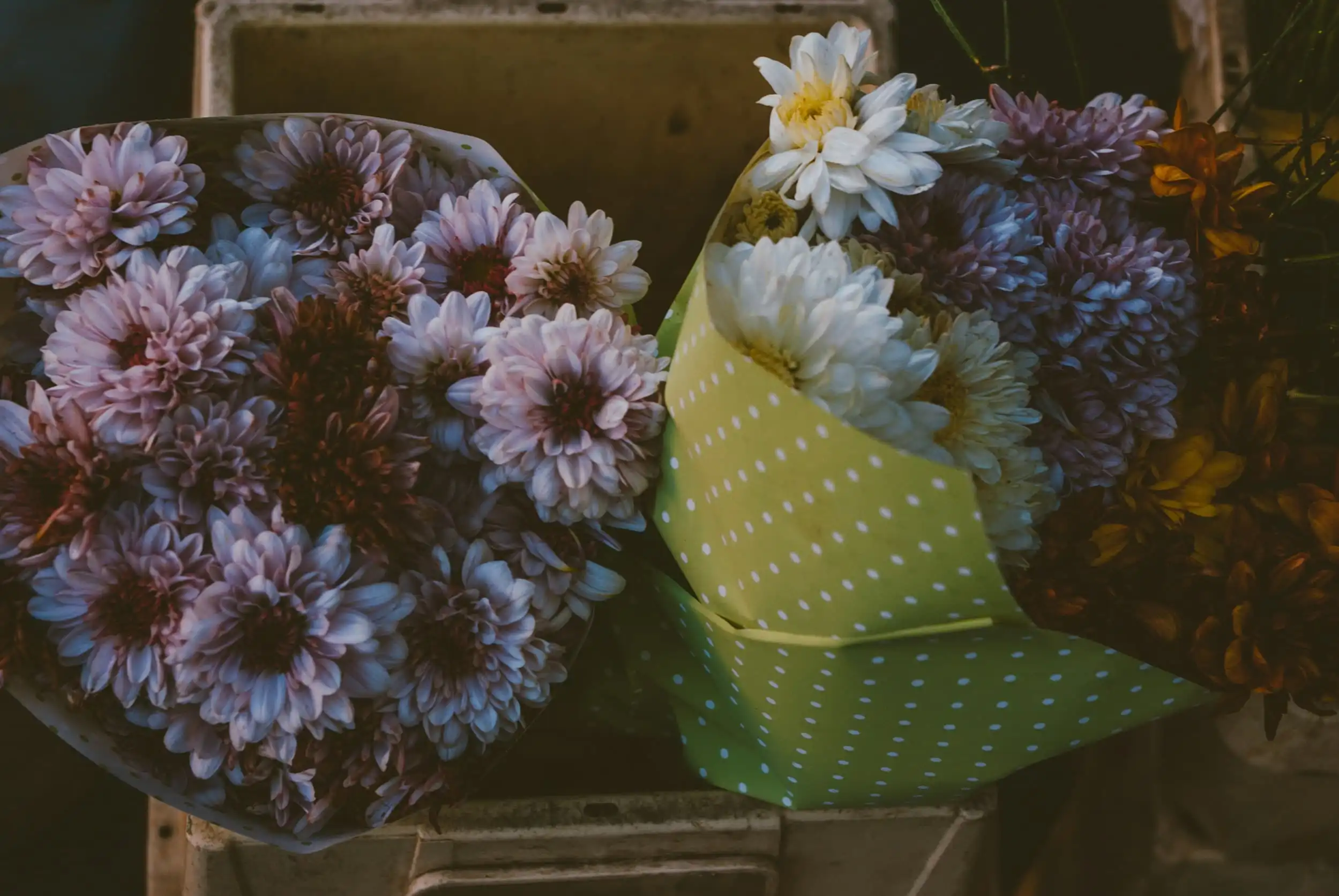 Purple flowers