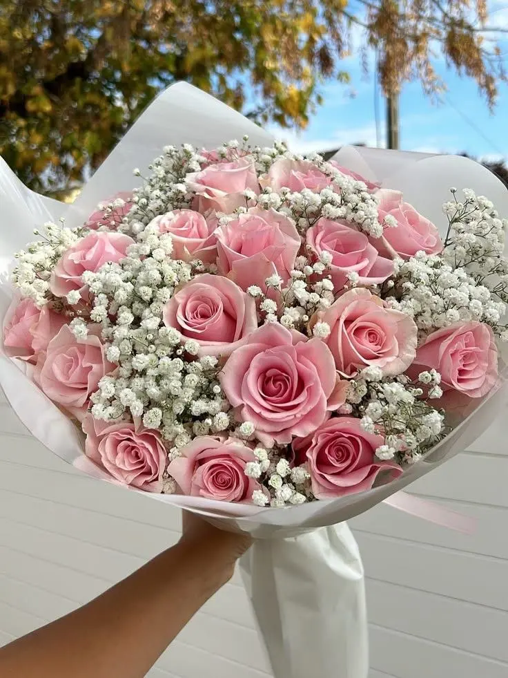 Pink Rose Romance
