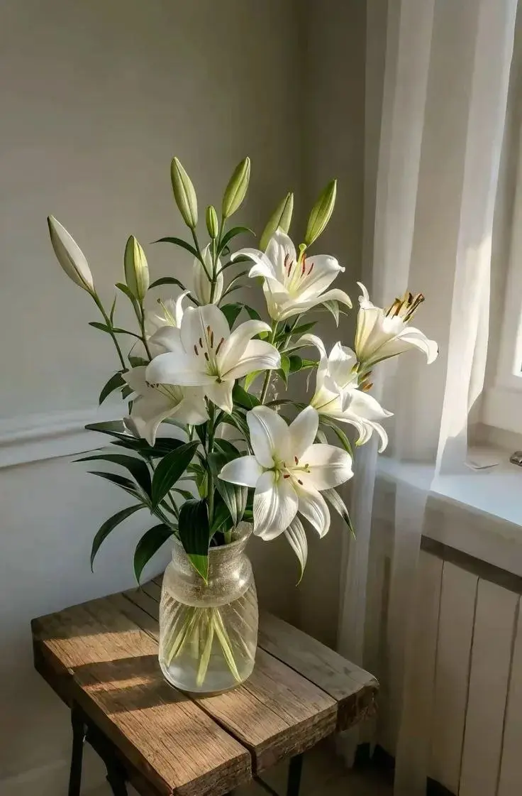 White Casablanca Lilies
