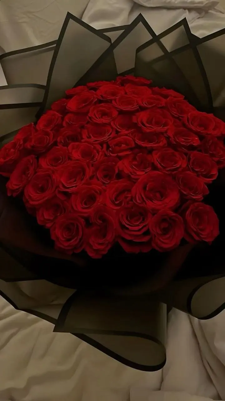 Velvet Red Roses