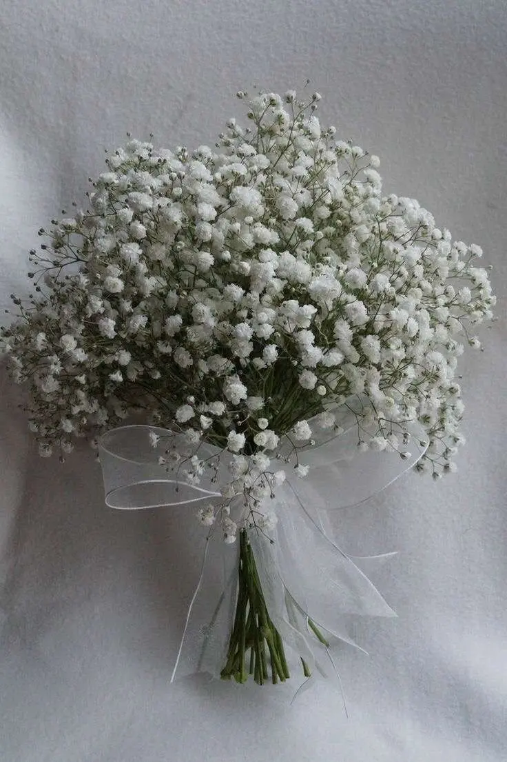 Baby's Breath Bridal Cloud